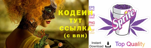 дживик Верхний Тагил