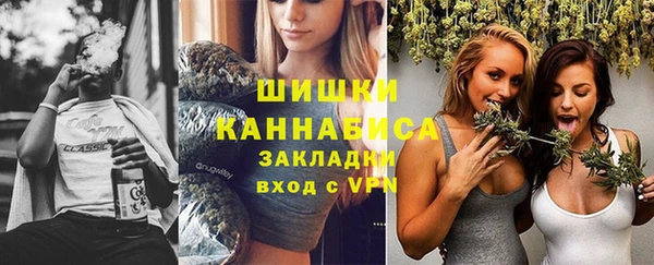дживик Верхний Тагил