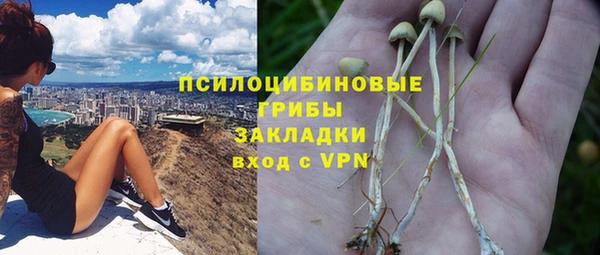 дживик Верхний Тагил