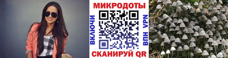 Галлюциногенные грибы GOLDEN TEACHER Новохопёрск