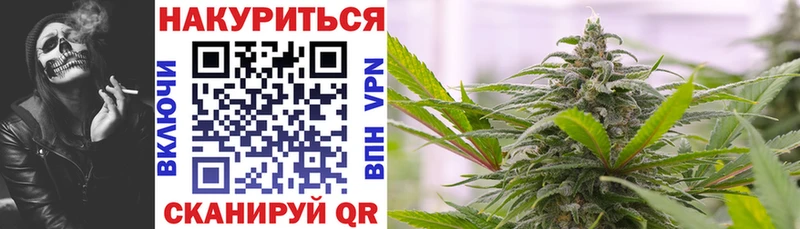 Бошки марихуана SATIVA & INDICA  наркошоп  Новохопёрск 